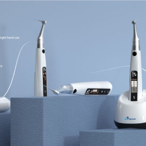 اندو موتور ایتیس  E-CONNECT S Eighteeth